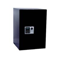 INTCFS50BM INTCFS50BM