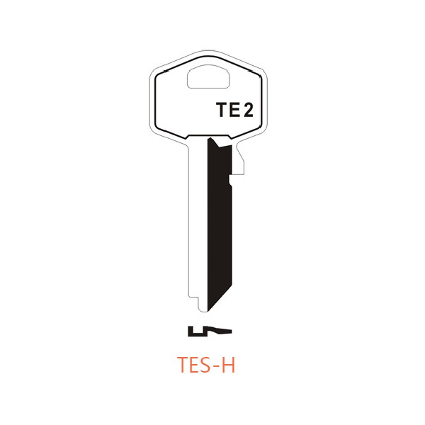 TES-H